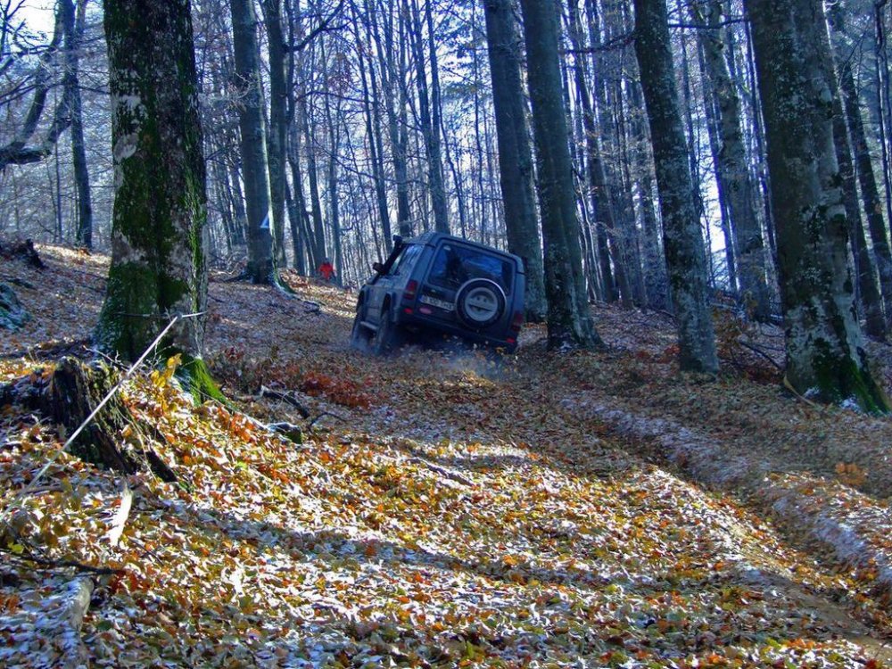 DSCF7929.thumb.jpg.edfd3bd1e7784d36daa580d986414b73.jpg
