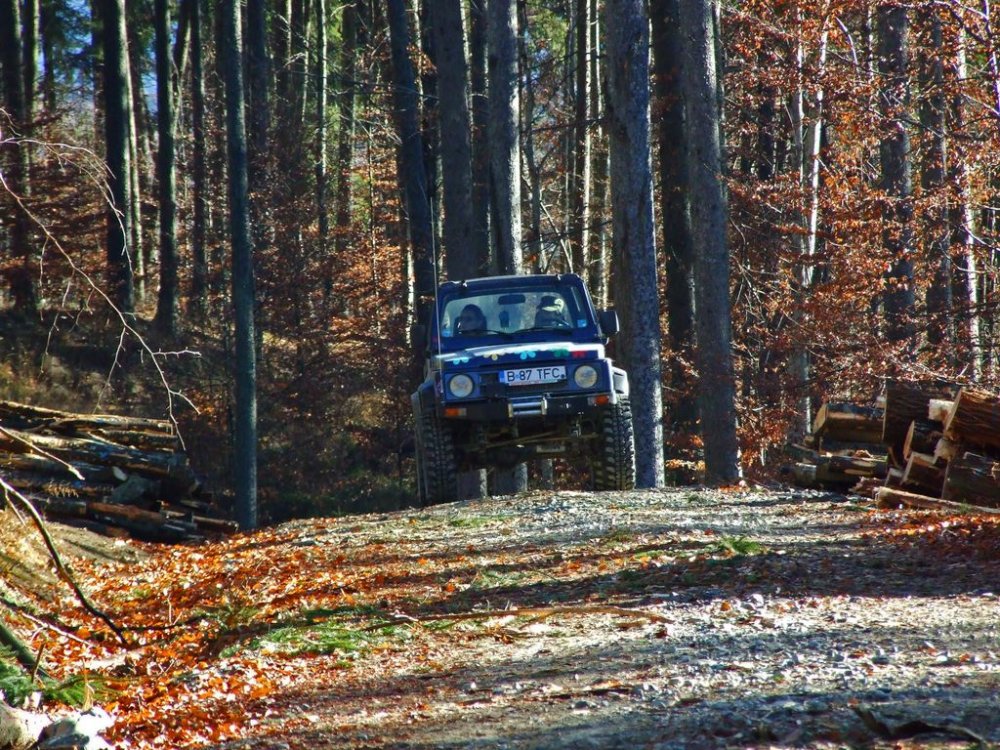 DSCF8098.thumb.JPG.dde29c7fd5a1badd2334a16858f4f03f.JPG