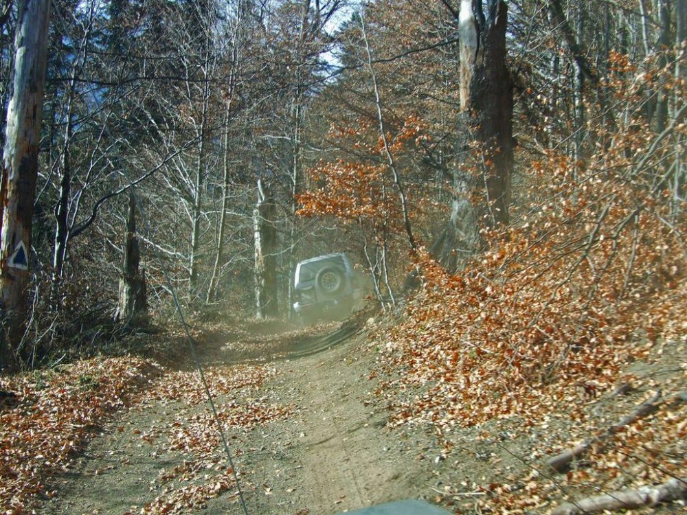 DSCF8270.thumb.jpg.79a57aeba22d54df12ef99d807da30af.jpg