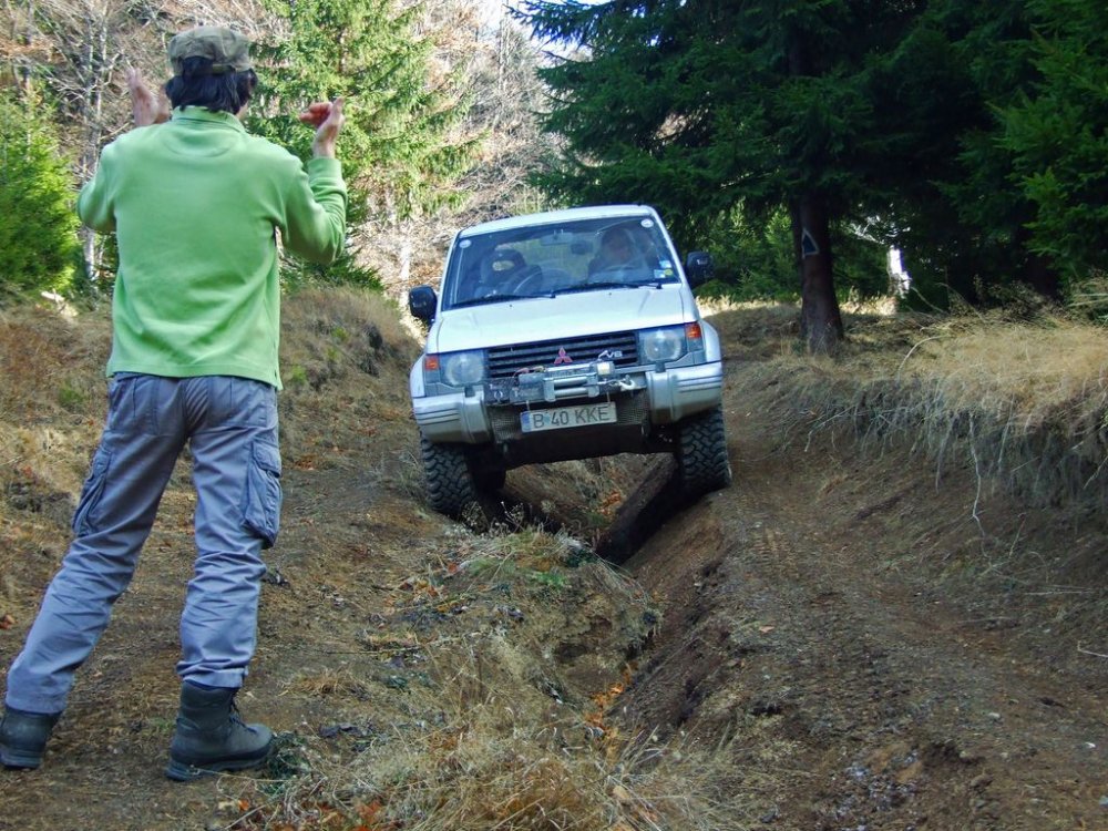 DSCF8279.thumb.JPG.8aaf7b4d9d213c4d55c1b5eb16127175.JPG