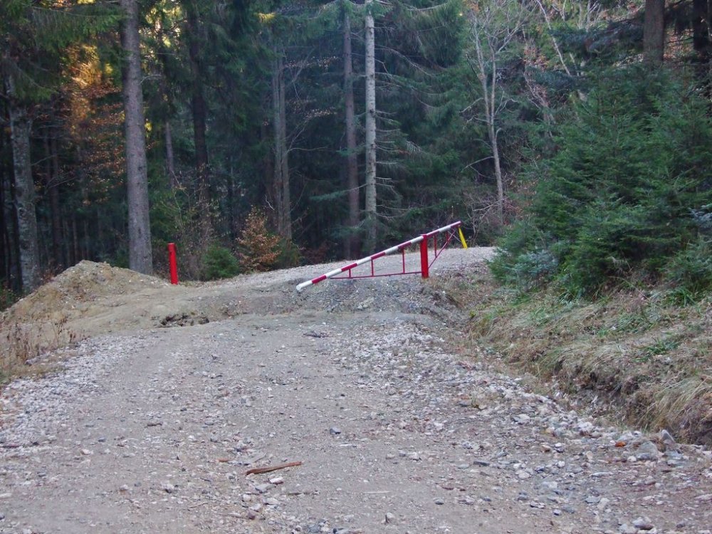 DSCF8336.thumb.JPG.d438adf79da8ca77781c7d42e2fb9d27.JPG