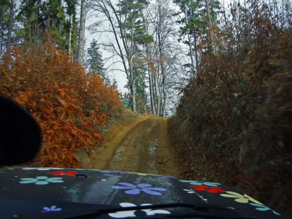 DSCF8576.thumb.JPG.ea1d29030de58b7374904a29e78fa54a.JPG