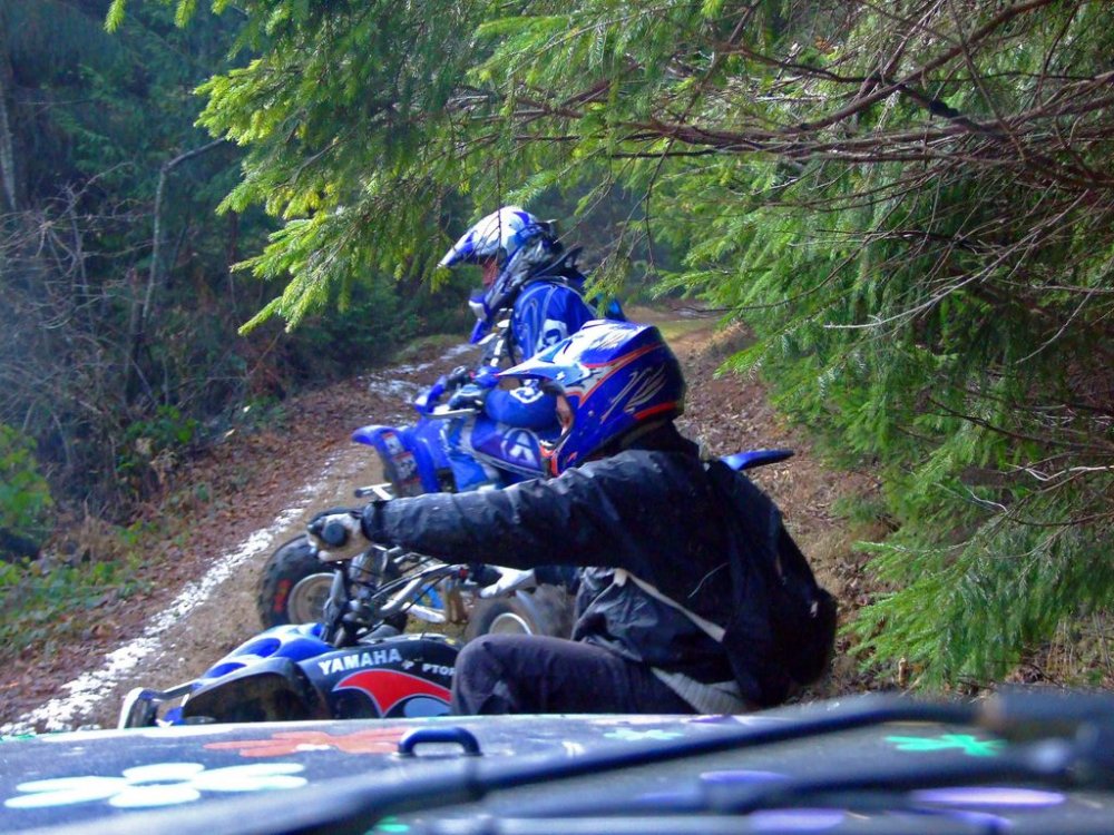 DSCF8629.thumb.JPG.3e8102d56dee1e2efe1d2948d32d006d.JPG
