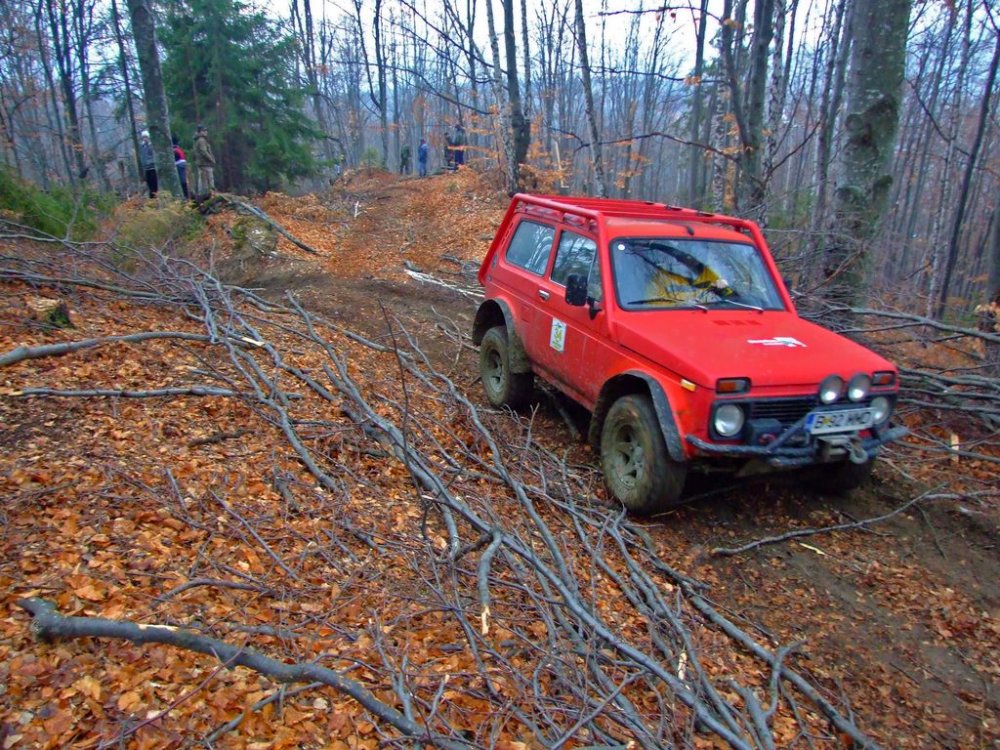 DSCF8763.thumb.JPG.ea838841db2710b9d68c2ad7754c3e89.JPG