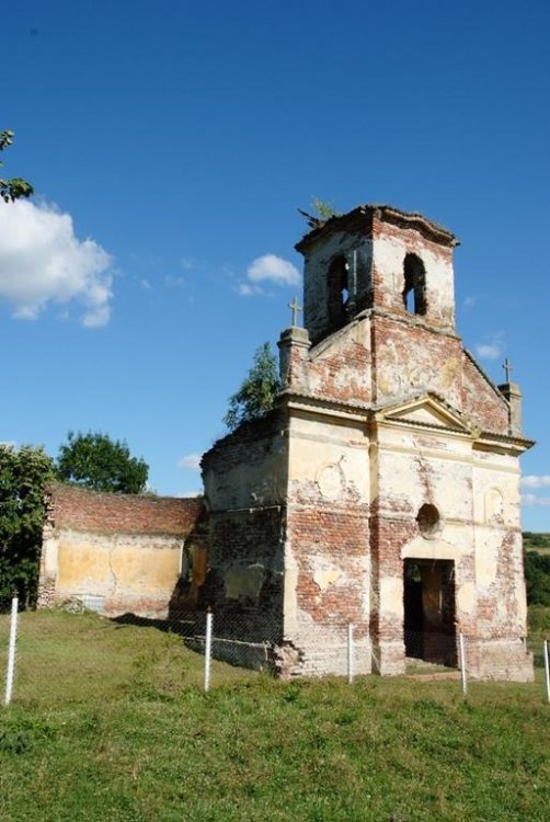DSCF9208.jpg