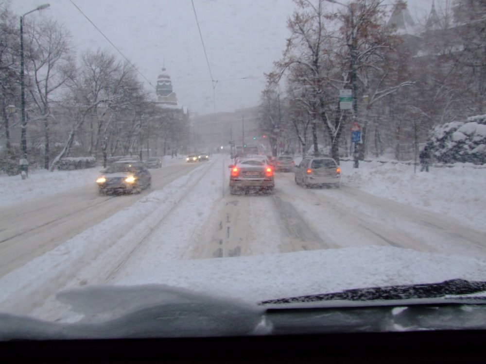 DSCF9355.thumb.JPG.a89e21683da8fc21d40edacb67ca9ac8.JPG