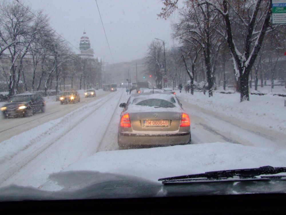 DSCF9356.thumb.JPG.57d30e90ca75338baef1fbd43373ed28.JPG
