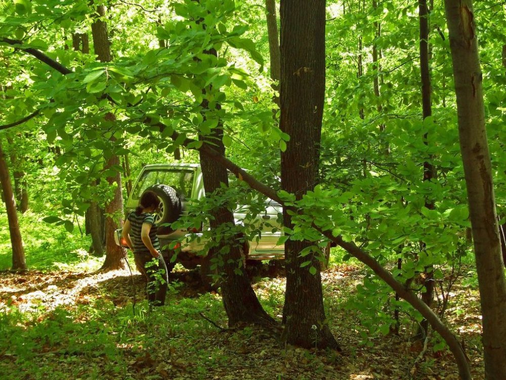 DSCF9427.thumb.JPG.cb4b04b3bca79226ccd51852481c2a29.JPG