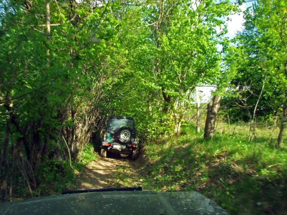DSCF9594.thumb.JPG.05c971da7e934f14fee8ffe373eeda1d.JPG