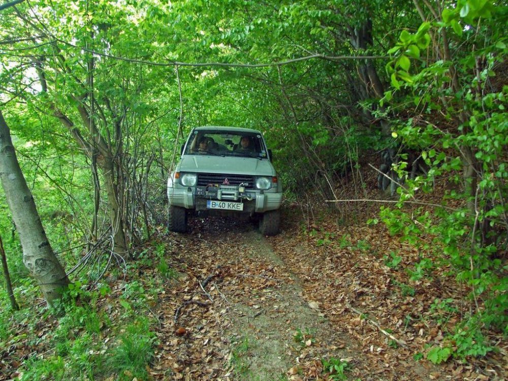 DSCF9595.thumb.jpg.a3f2fb797c202b2ff5d5d28e3a597dcd.jpg