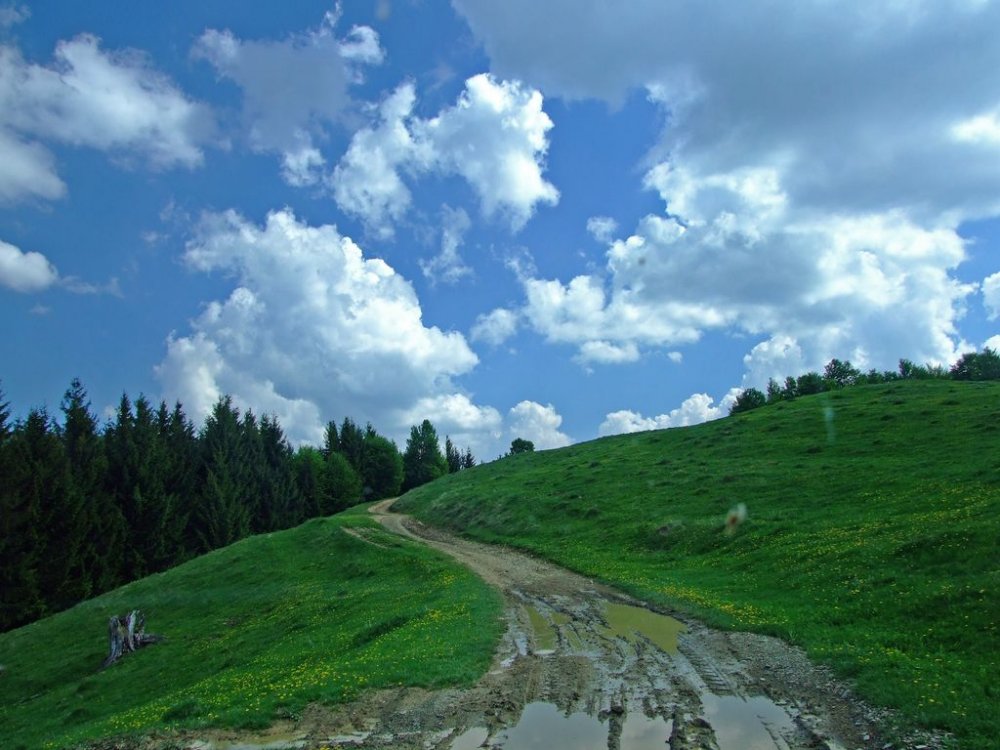 DSCF9691.thumb.JPG.fa2274a4901341d54fb59395e2f9bb7f.JPG