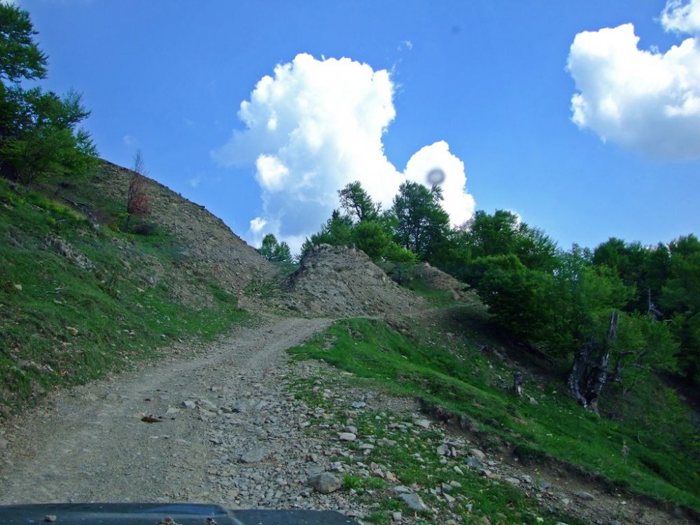 DSCF9695.thumb.JPG.3647018403155a633d092926a401bc1d.JPG