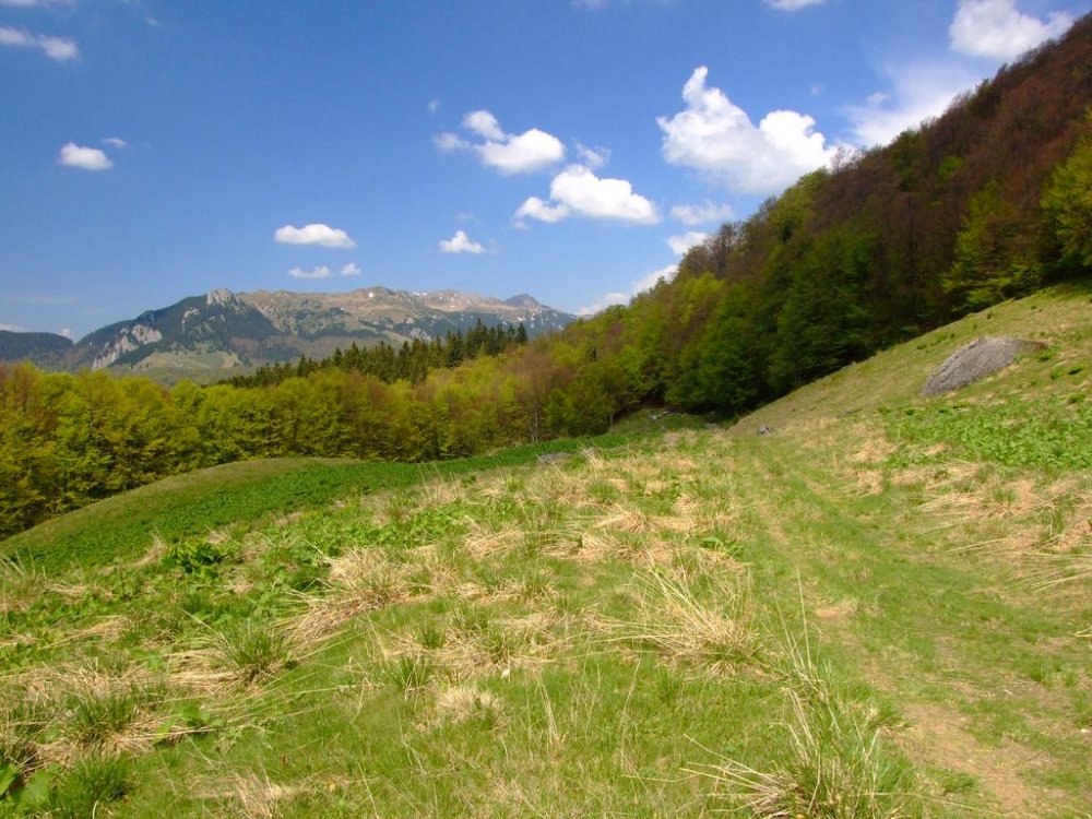 DSCF9811.thumb.JPG.5f4ac3f43fce264835613a4c09be50df.JPG
