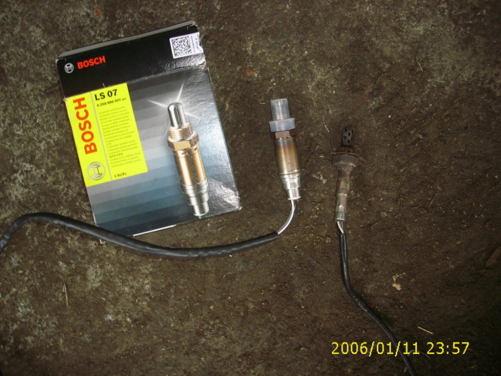 DSCI0561.thumb.jpg.17a6062621e1b9488850a92054fd6611.jpg