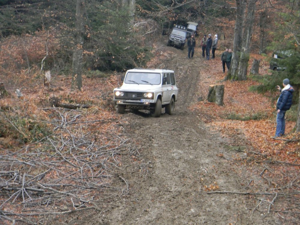 DSCN1131.thumb.JPG.996a2ffb6e7a32f97f85c2189abb80b1.JPG