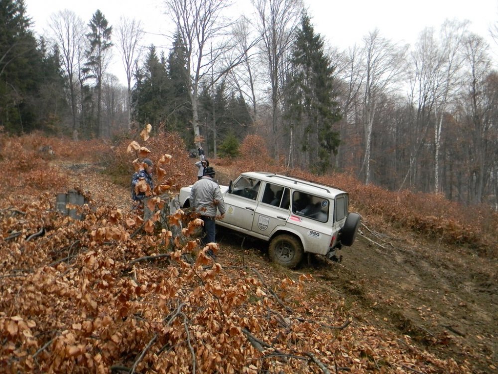 DSCN1135.thumb.JPG.14cd8d3a86899afa7c25fb90f3f49254.JPG
