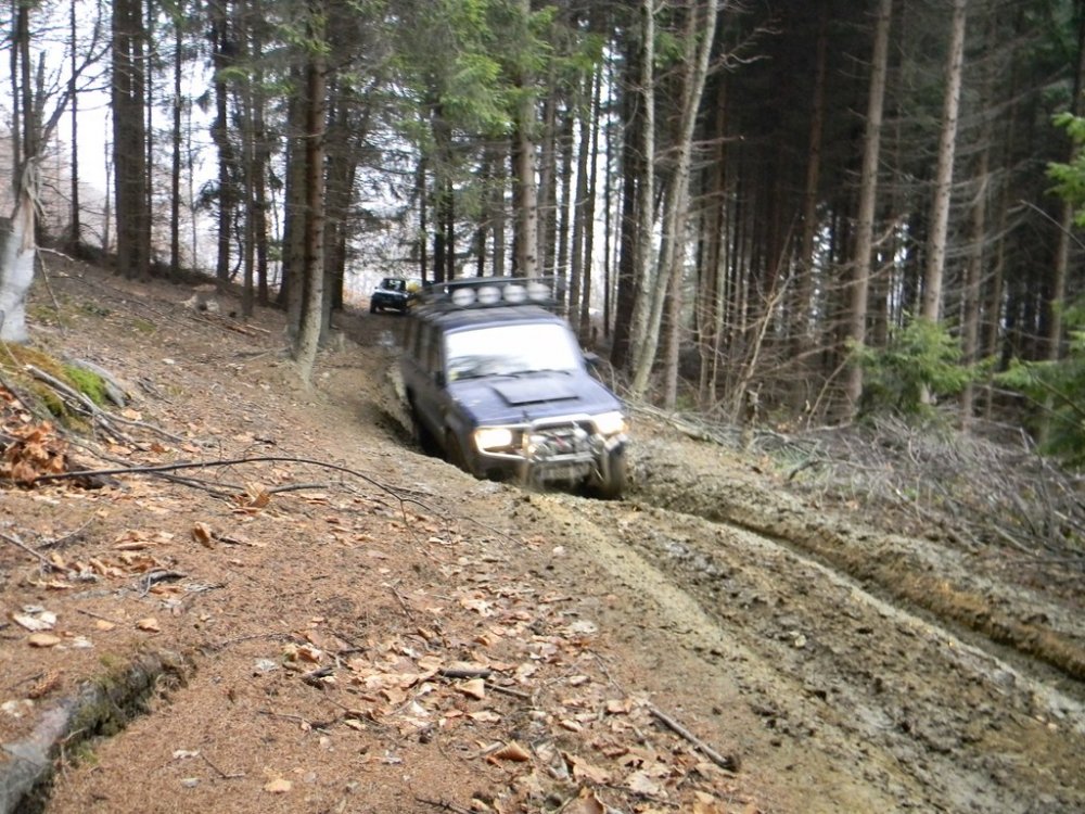 DSCN1146.thumb.JPG.30d62e4cb0dac05ac355e428e6be7d17.JPG