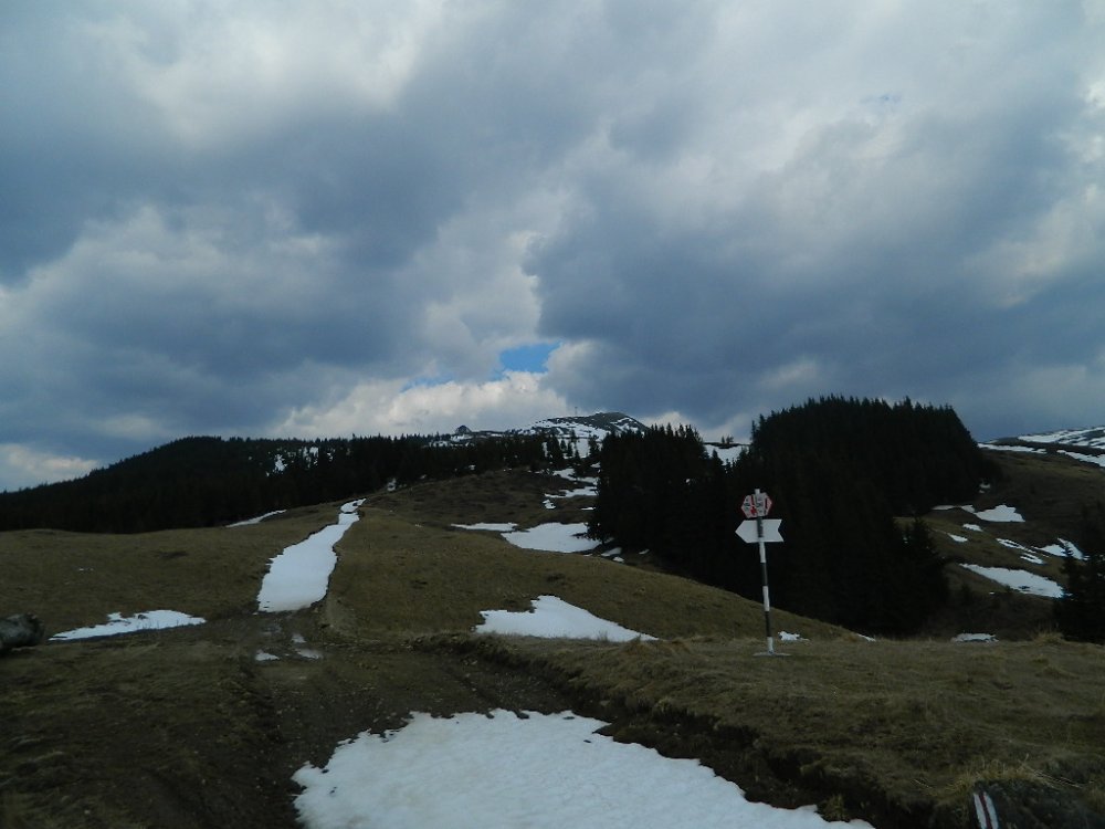 DSCN1164.thumb.jpg.dabc027a64112ad2452000f27c0e9217.jpg