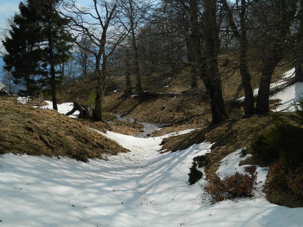 DSCN1202.thumb.jpg.8ac2fe3467996c430235a37c072f932b.jpg