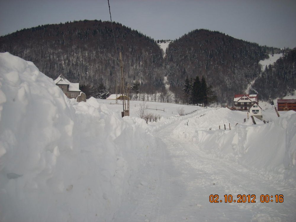 DSCN1352.thumb.jpg.3a2cff3167315719d8dfa3564e9a7f20.jpg