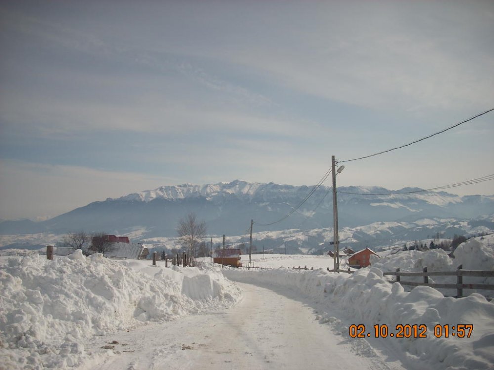 DSCN1354.thumb.jpg.7b87c9a9f4a40536d27a083345803988.jpg