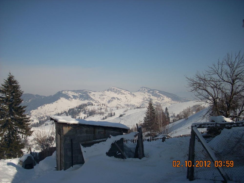 DSCN1368.thumb.jpg.cae6a1228761f0b74f960ebaece36d96.jpg