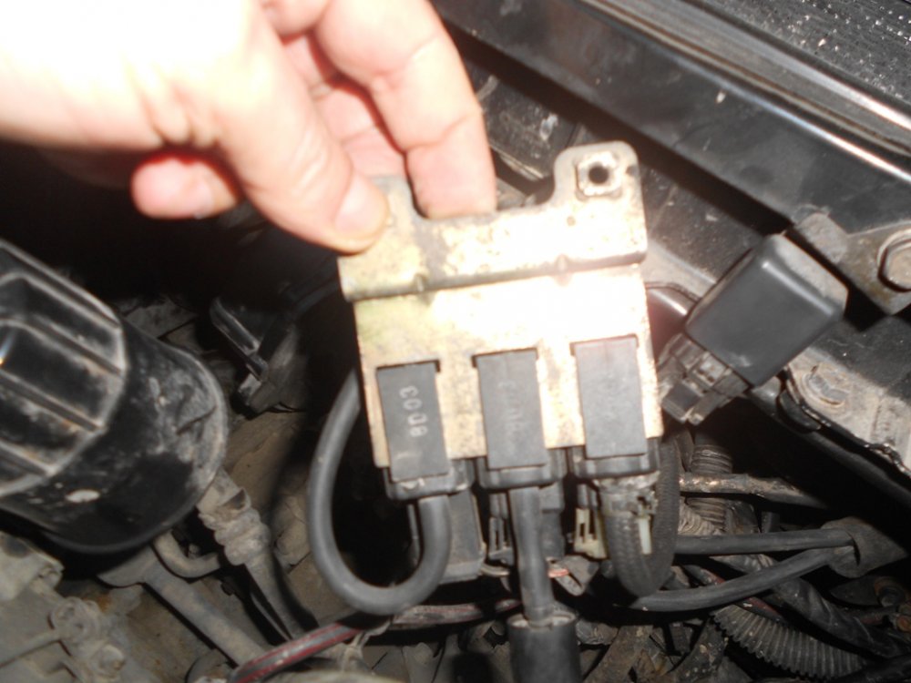DSCN1439.thumb.JPG.7745c4eed5932857aa6a21530c70afb6.JPG