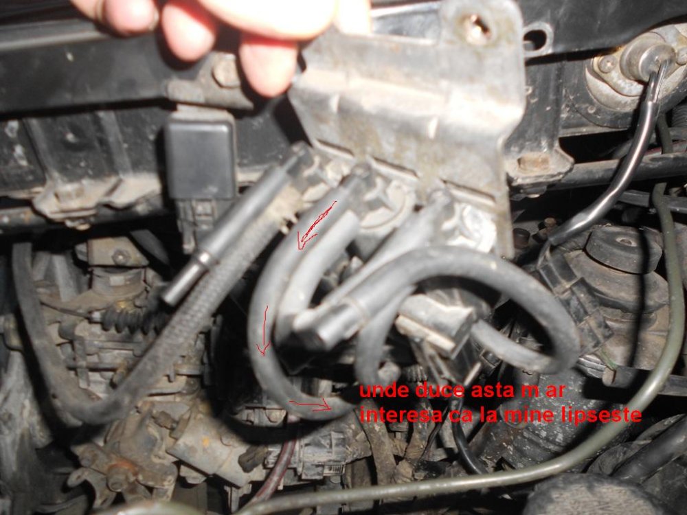 DSCN1442.thumb.JPG.0b137f0dd5783b787c1d50b0ac346230.JPG