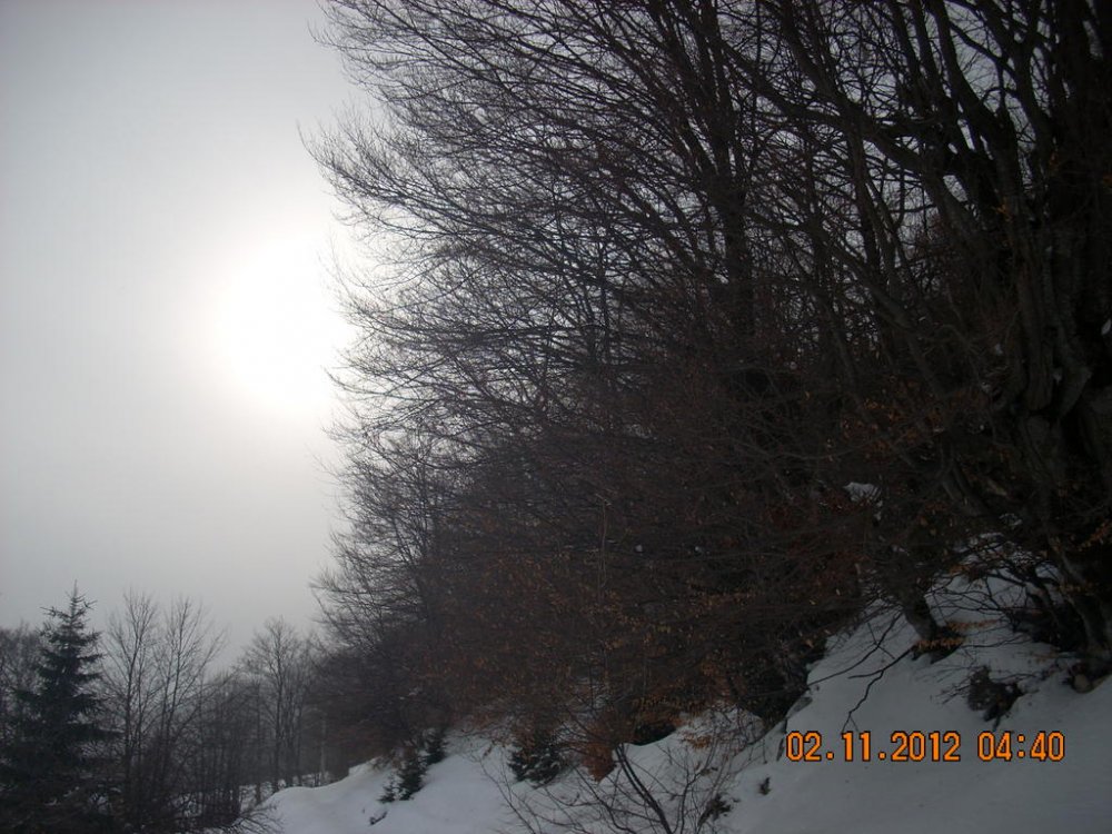 DSCN1446.thumb.jpg.1f80de4de6296713c560d1e20a6af8d1.jpg
