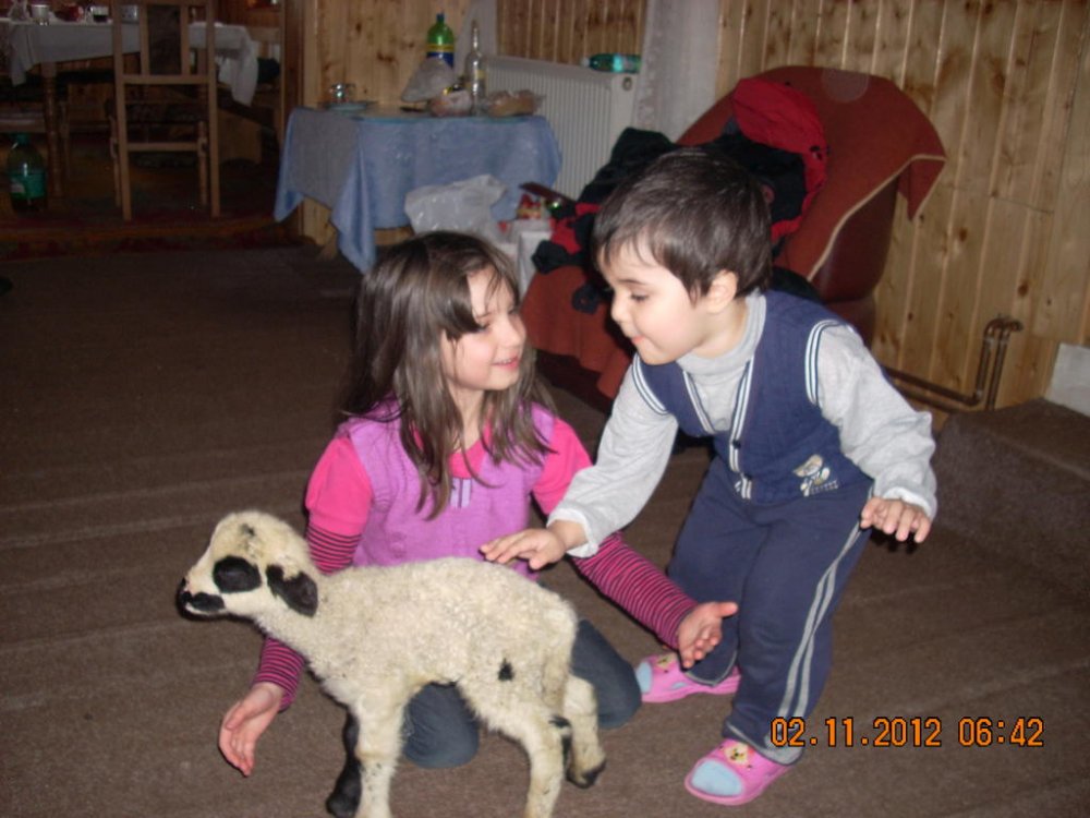 DSCN1466.thumb.jpg.d05f9aed0cf5b748524e5e568ade1649.jpg
