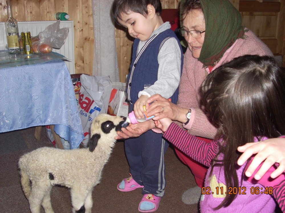 DSCN1477.thumb.jpg.8beab47aecb650d4c801100de68c6dd6.jpg