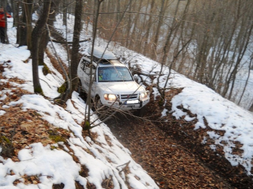 DSCN1839.thumb.jpg.b7cb803d3c93a8480bdd35138462c87c.jpg