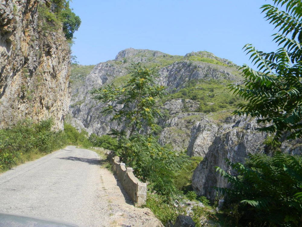 DSCN2623.thumb.jpg.83de0cce578c2098f0d4e3ff90033b02.jpg