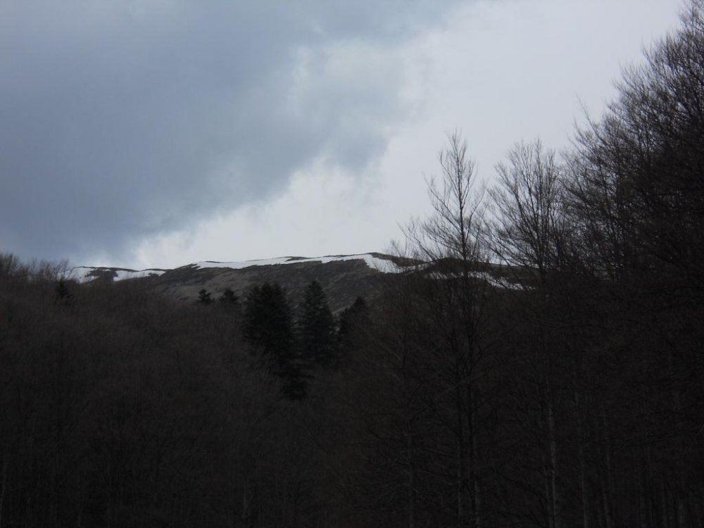 DSCN2757.thumb.JPG.9ea927bcc1474d2e18aeecad098a0962.JPG