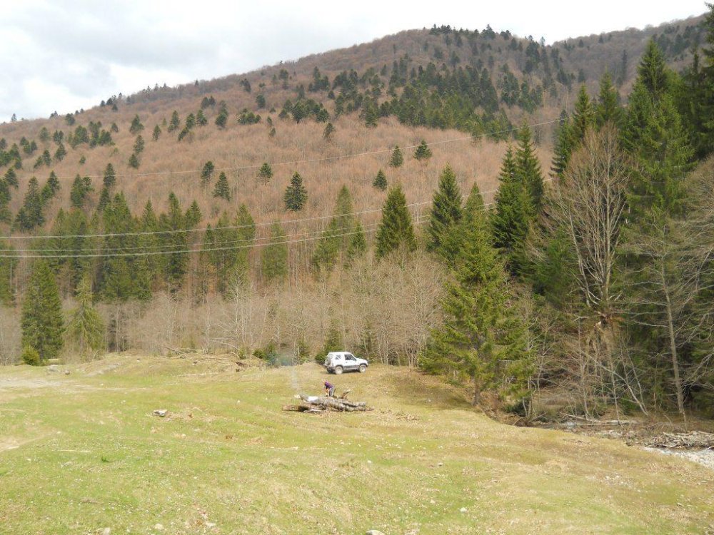 DSCN2767.thumb.JPG.07c8fe38b6fc8c9662c237d1f473e5de.JPG