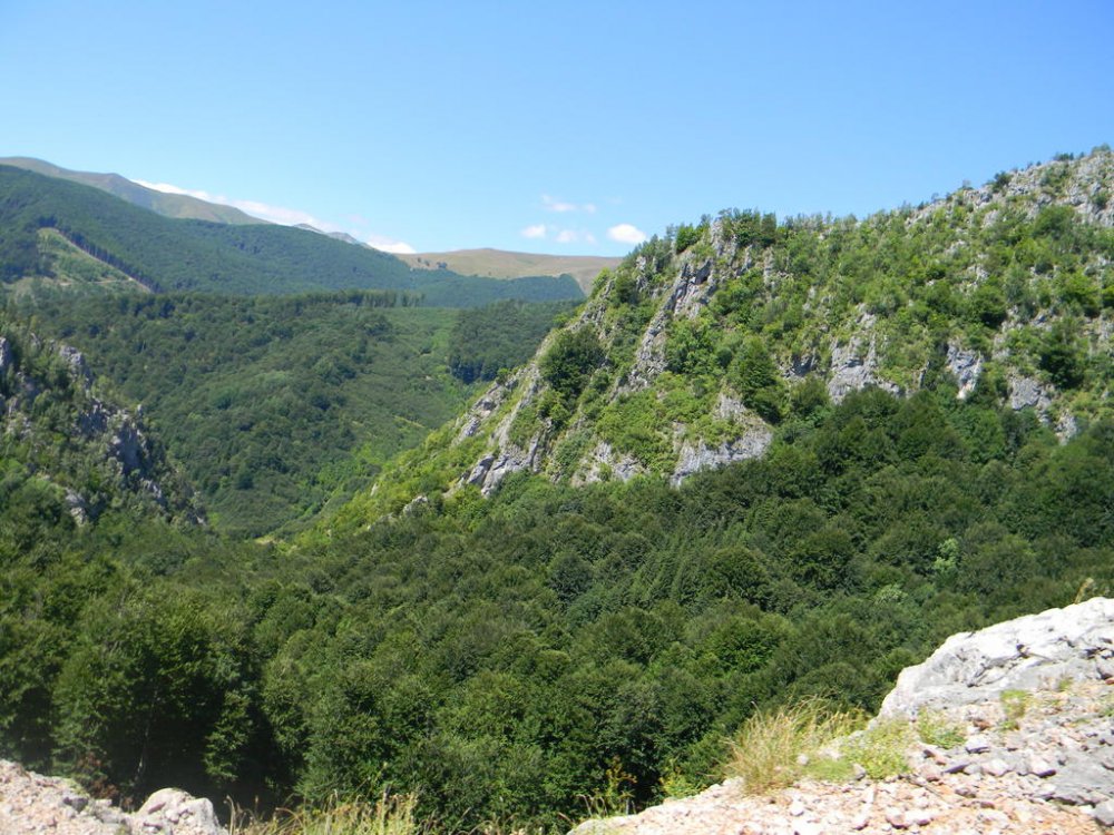 DSCN2906.thumb.jpg.01b2c12c69b5b909a8b4a4306fa79efa.jpg
