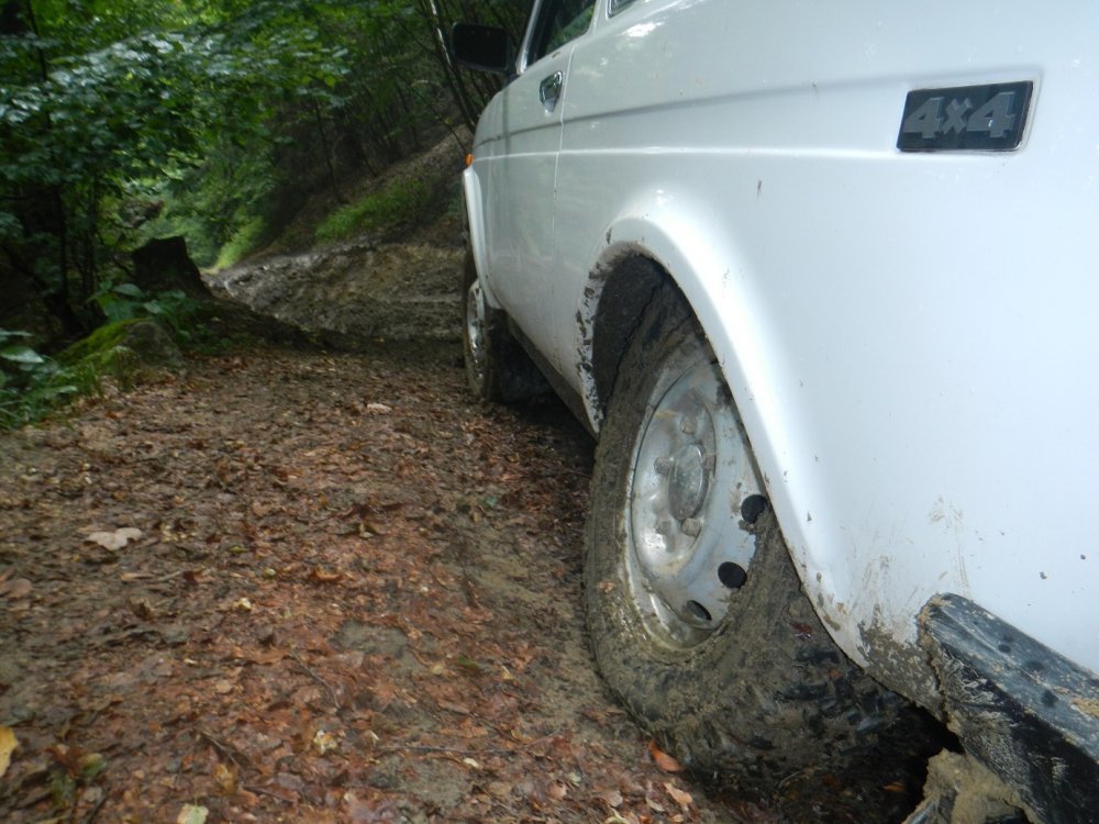 DSCN3254.thumb.JPG.d87c40df6d681ebfefdf9270b6b9b078.JPG