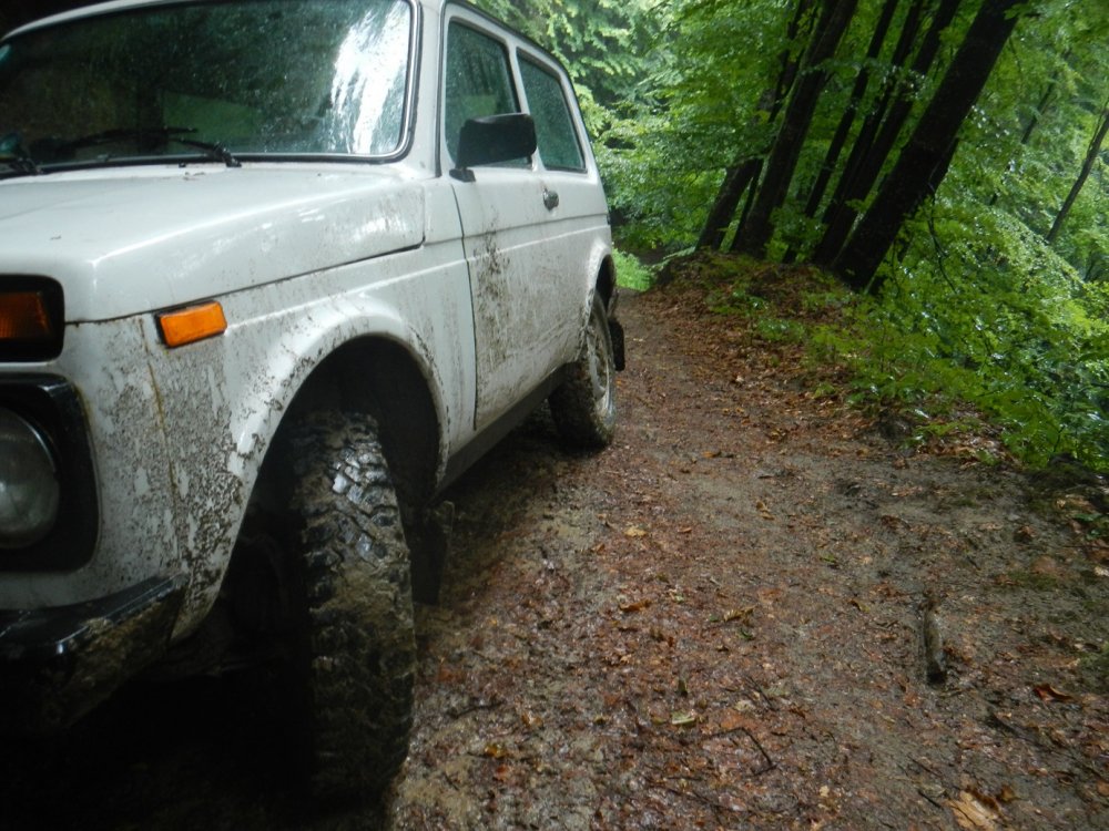 DSCN3261.thumb.JPG.d254fde667f556ce90472c0cdecd21b7.JPG
