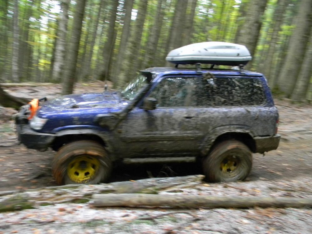 DSCN3793.thumb.jpg.11d64463b96d299434d7b3d053c10a52.jpg
