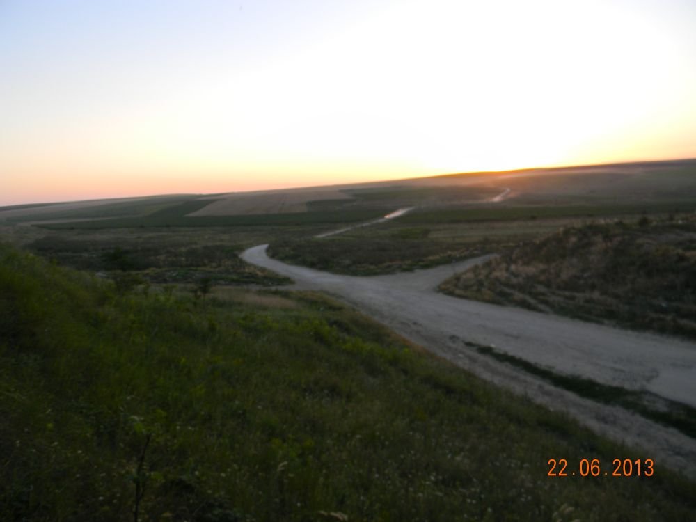 DSCN4564.thumb.JPG.c88c6a2c6e1e56e8ddf1dec49c5a2f10.JPG
