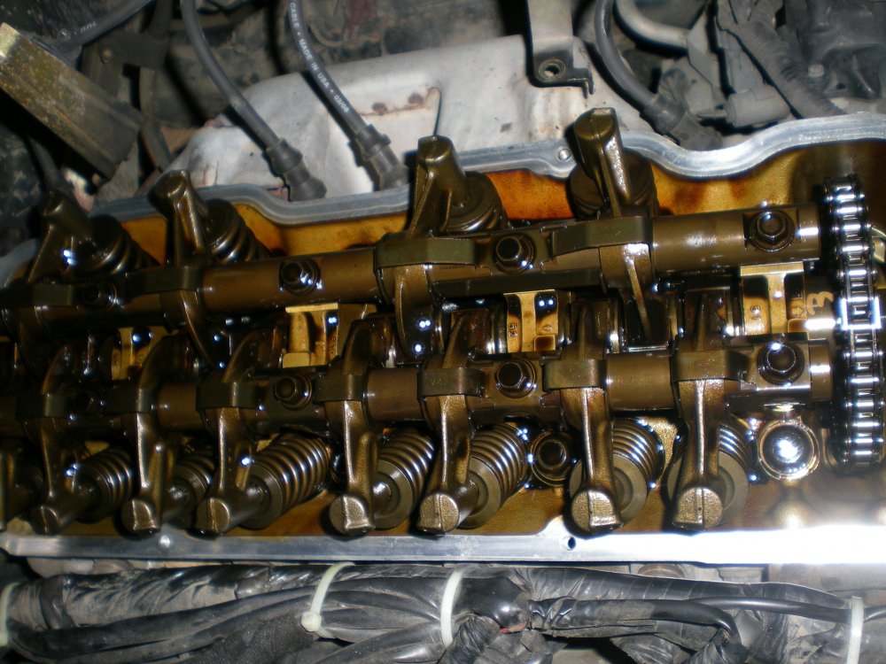 DSCN5057.thumb.JPG.c21761b3264a24d81156d7104d1a030f.JPG