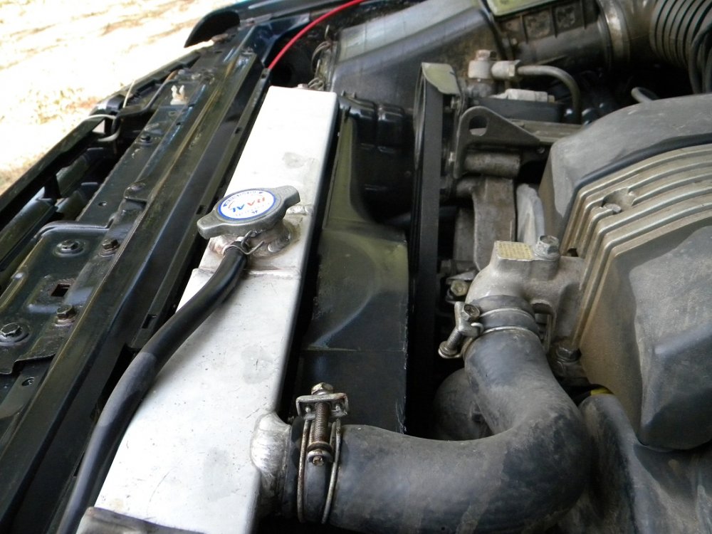 DSCN6398.thumb.JPG.ebf7b7b2d83de51a1235c0c39d6fc3a0.JPG