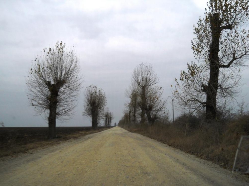 DSCN7796.thumb.jpg.a7b660ab5066de51873afb002e7c7dd1.jpg