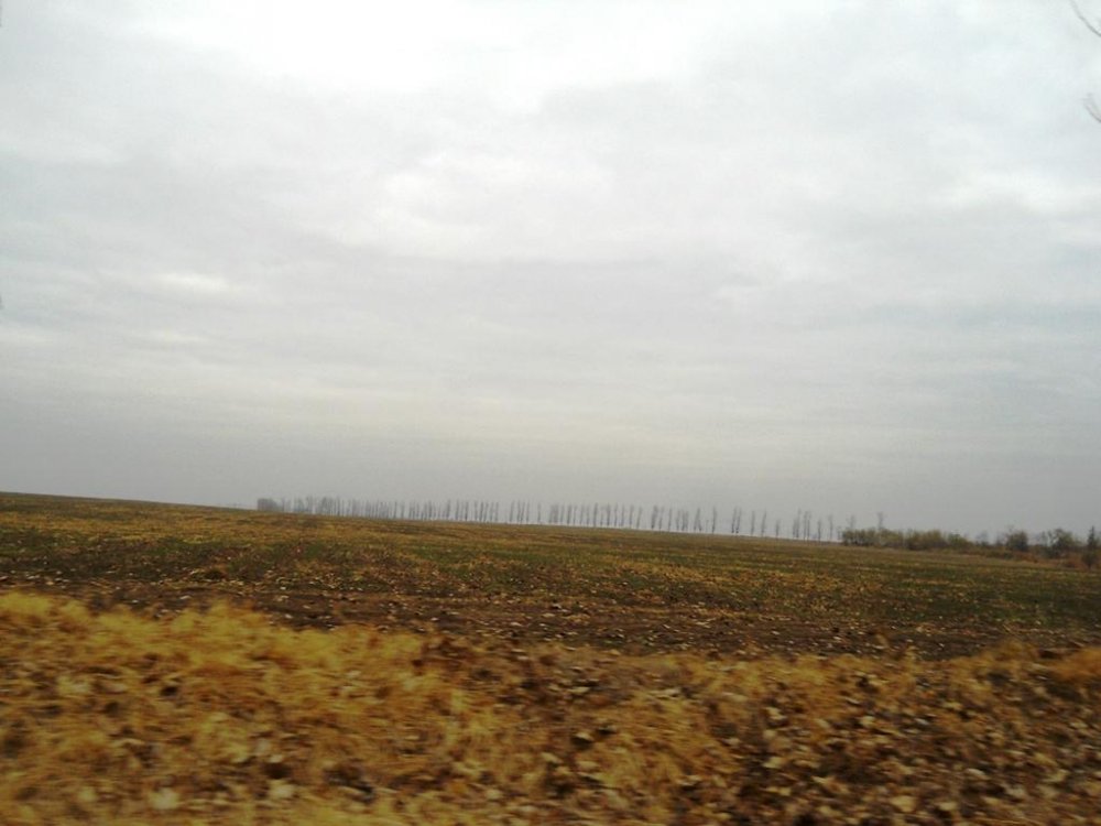 DSCN7801.thumb.jpg.066a3c60fc2e2b6c127fb06c2afb4bf5.jpg