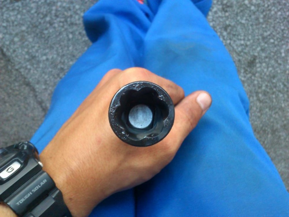 DSC_0037.thumb.jpg.a2f7ece108ea111b78c27b6cabd782bf.jpg