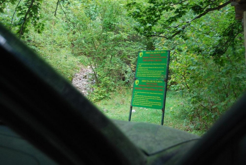 DSC_0070.thumb.jpg.900f6c603be6c7ebe75ff8d4774c2544.jpg