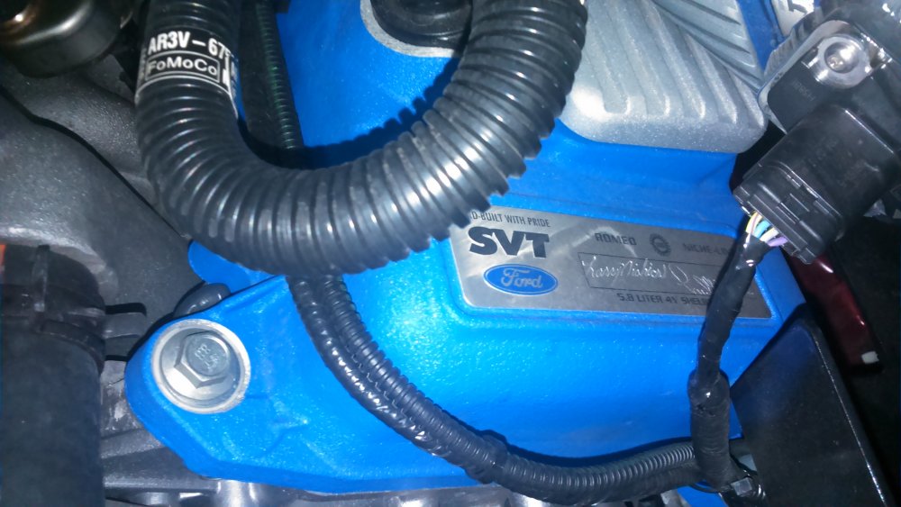 DSC_0102.thumb.jpg.572c93ce9cb69dea376903ac4262fc7f.jpg