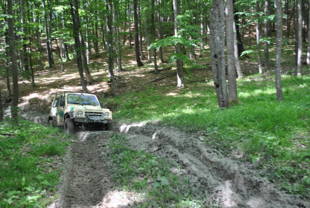 DSC_0141.thumb.jpg.ad24fb8f9dc88c8792ea9f96303df85d.jpg