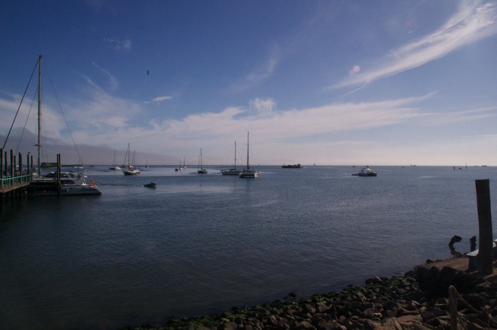 DSC_0312.thumb.jpg.02e340e25c5f164184457d0eb46874cf.jpg