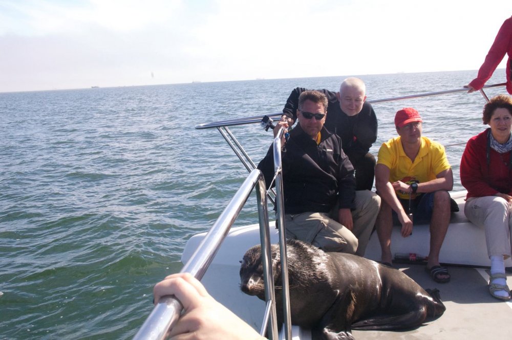 DSC_0340.thumb.jpg.44917b53f9caf3cc1a1109787075d4a8.jpg